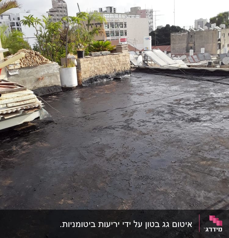 גג אטום בזפת עם צמחייה מסביב